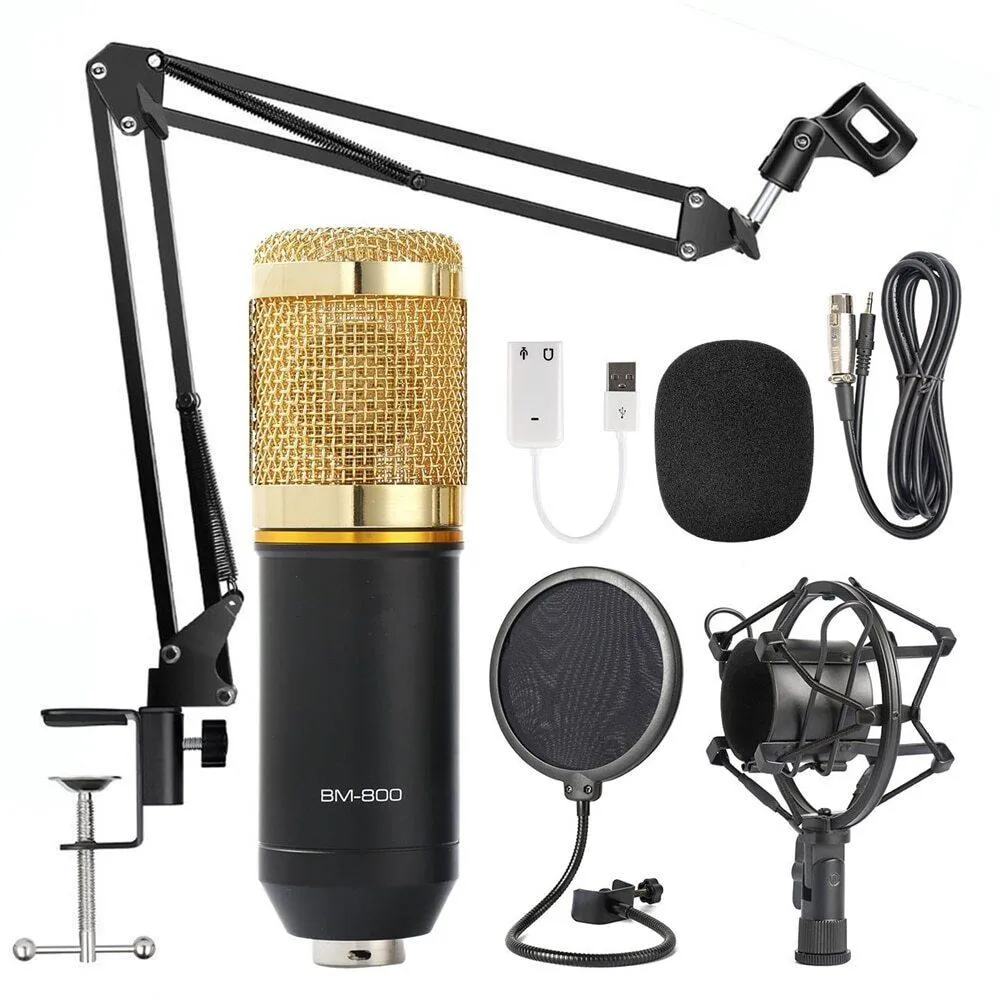 BM 800 Mic 25