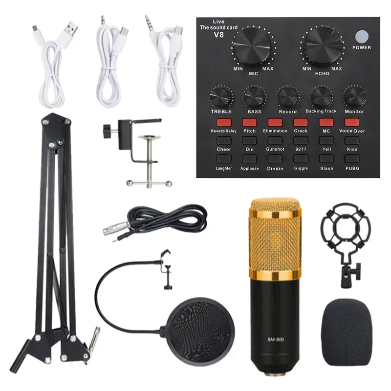 BM 800 Mic with V8 Sound Card
