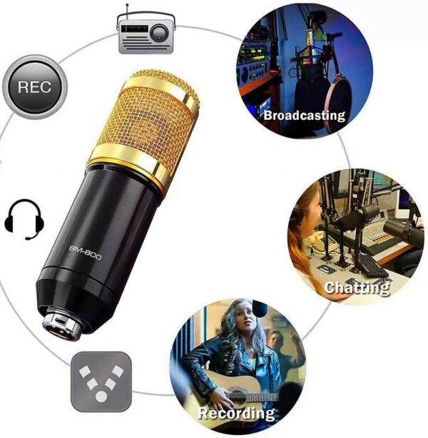 bm 800 mic 4