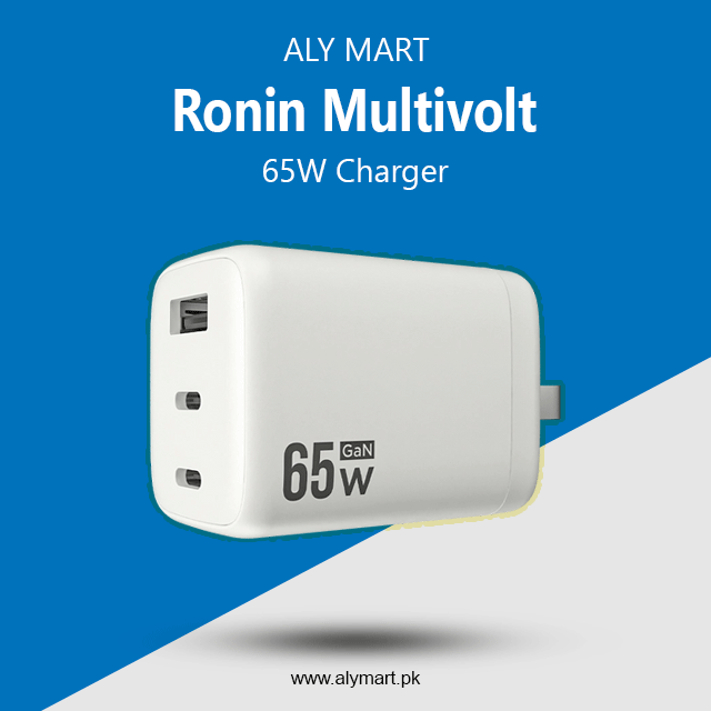 Ronin Multivolt Charger 65 Watts Model R-6065